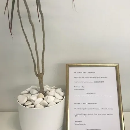 Tamula Puhkemaja *
